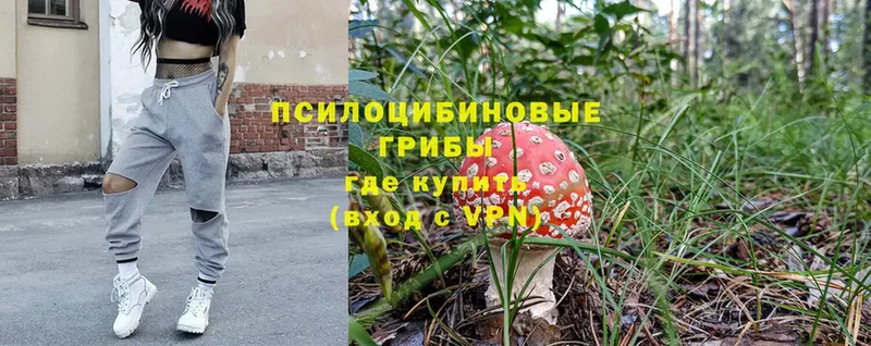 Галлюциногенные грибы Cubensis  Магадан 